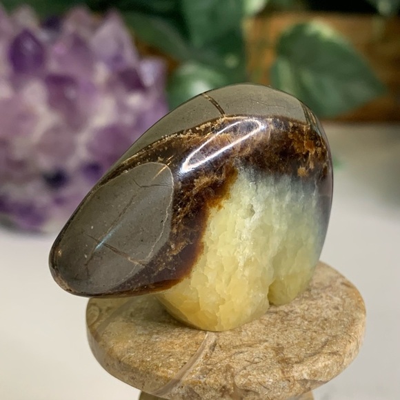 Geode Septarian Nodule Bear Figurine Carved Zuni Style Dragon Stone Carving 2" - Picture 2 of 12